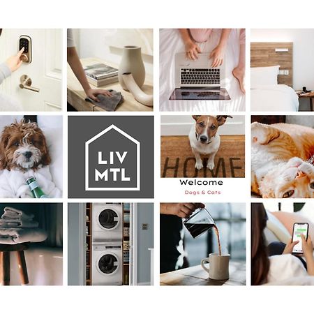 몬트리올 Liv Mtl Avenue 아파트 호텔 외부 사진