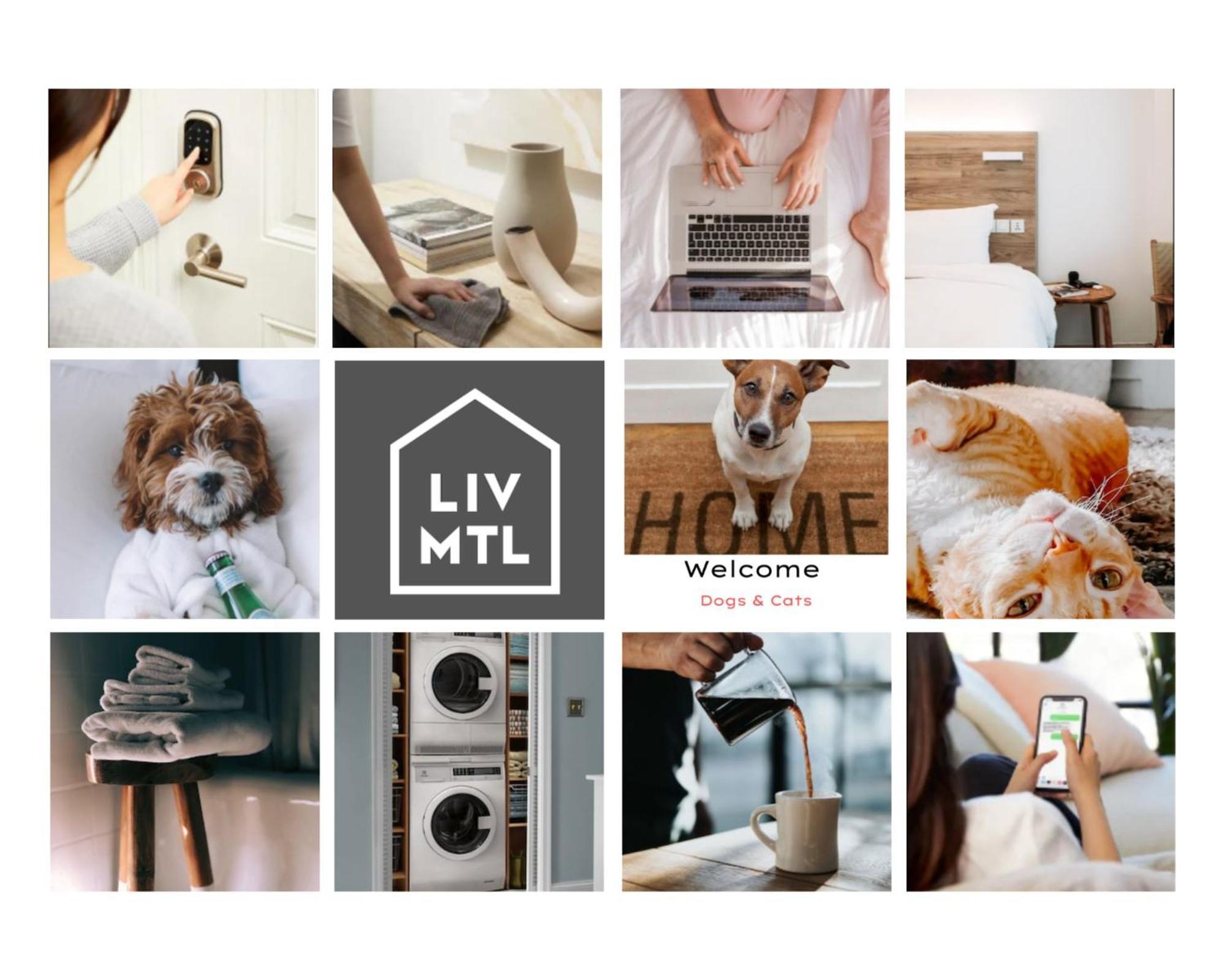 몬트리올 Liv Mtl Avenue 아파트 호텔 외부 사진